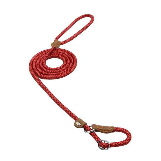 Nylon Puppy Leash